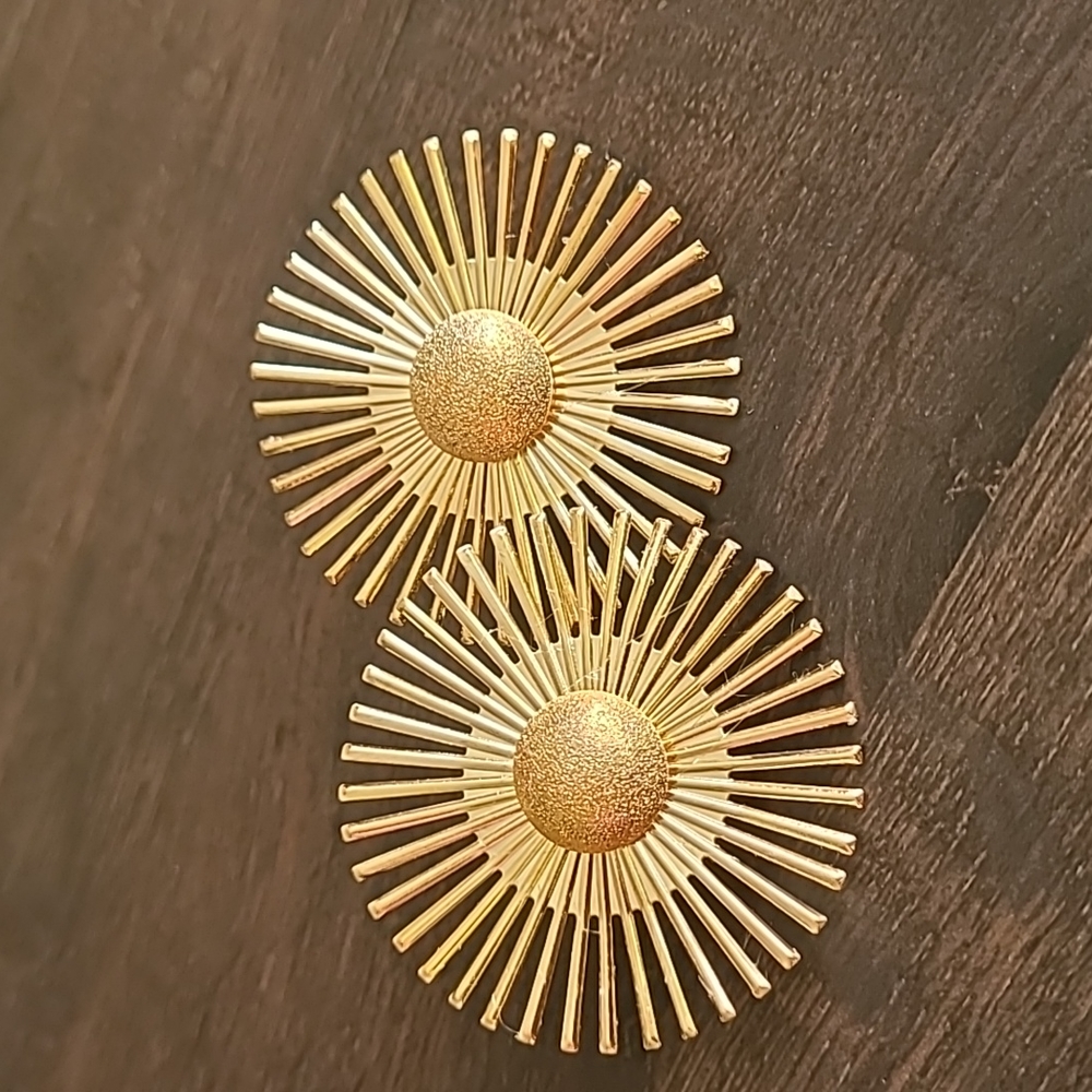 Elegant design earing